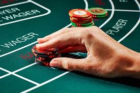 Woori Casino – The Best of the Lot - thedailyactivist.com
